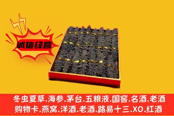 石河子市胡杨河回收海参